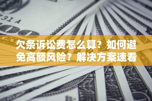 北京欠条诉讼费怎么算？如何避免高额风险？解决方案速看！